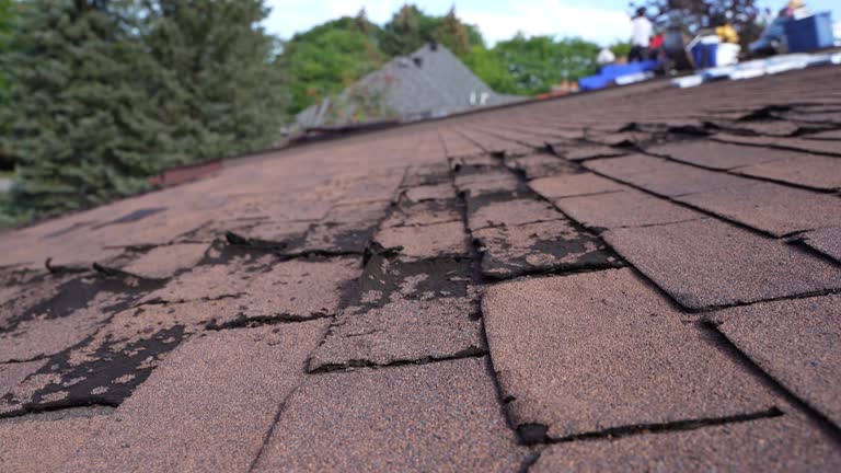 Fast & Reliable Emergency Roof Repairs in Deephaven, MN